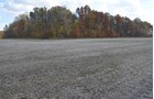 Property photo 20 - 75.3 Acres Offered in 2 Tracts